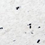 Branco Pitaia ou Extreme White